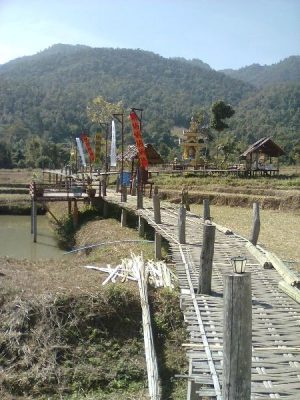 Pai_bamboo-bridge