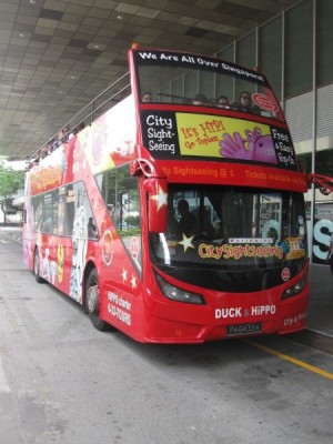 Bus_Singapure